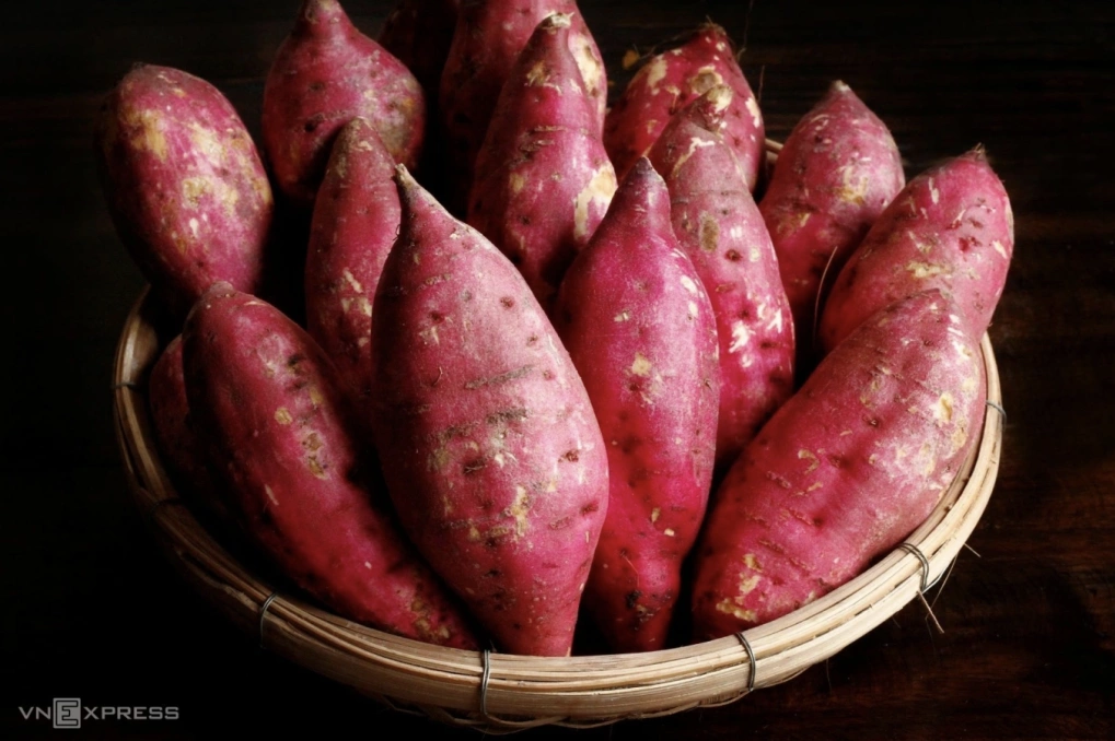 ăn khoai lang trường thọ